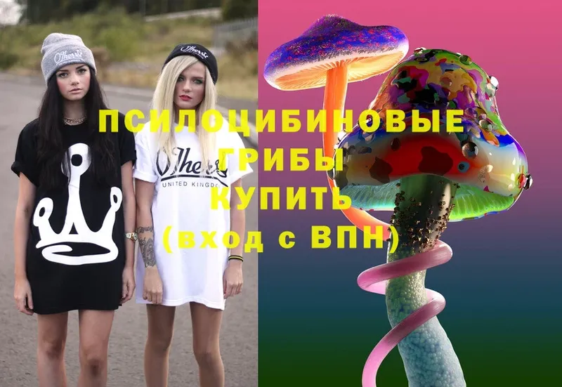 Псилоцибиновые грибы MAGIC MUSHROOMS  Любань 